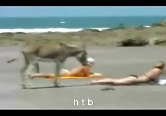 Vahşi Grup Seks Aoyama aldı türkçe altyazılı milf pornosu parçası